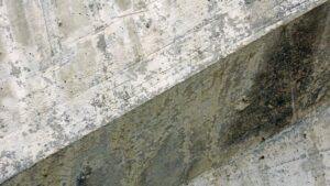 Concrete Mold Removal